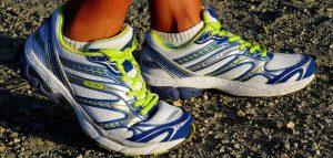 Der Ahruferlauf kommt zurück